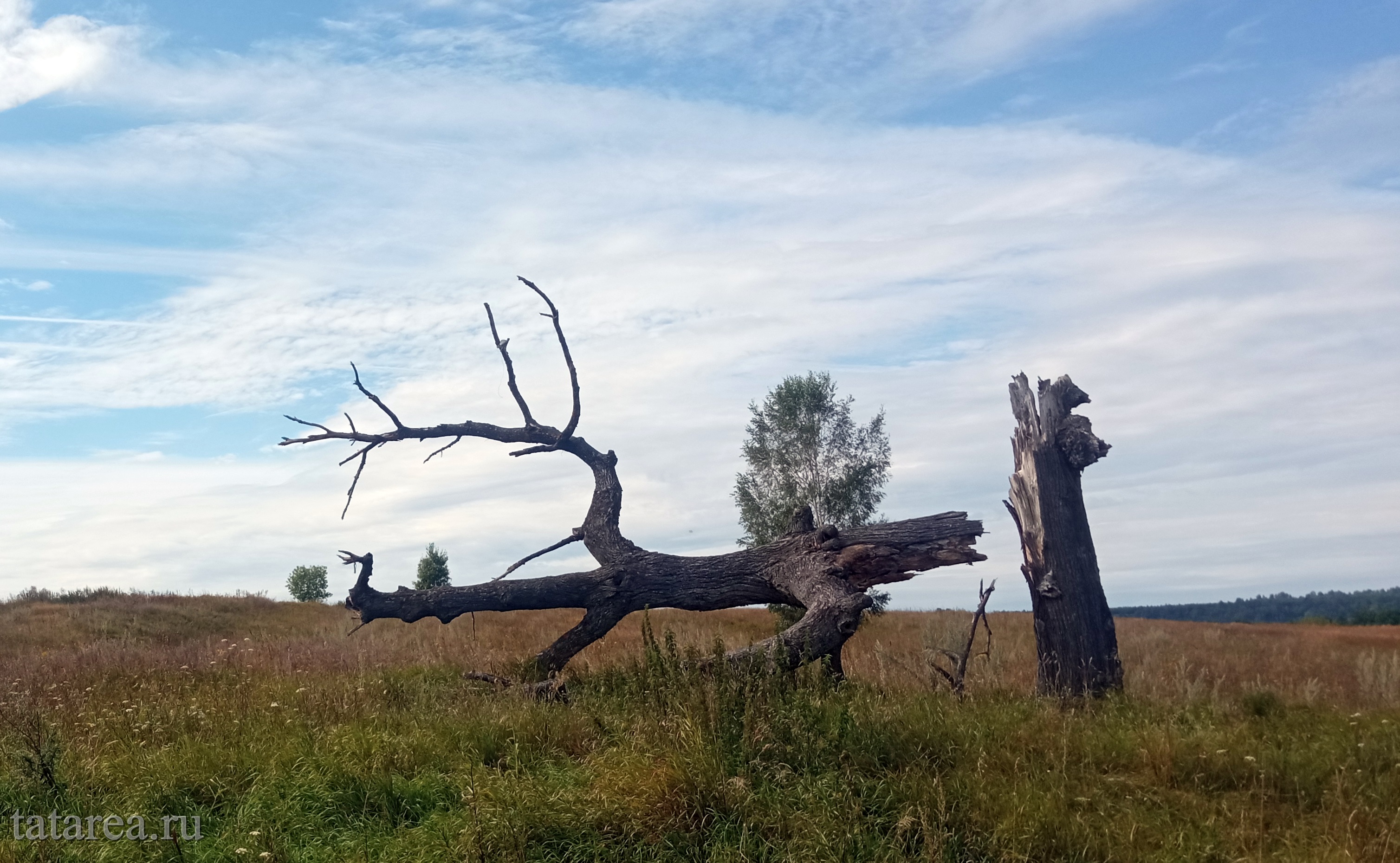 Микс, природа Татарстана
