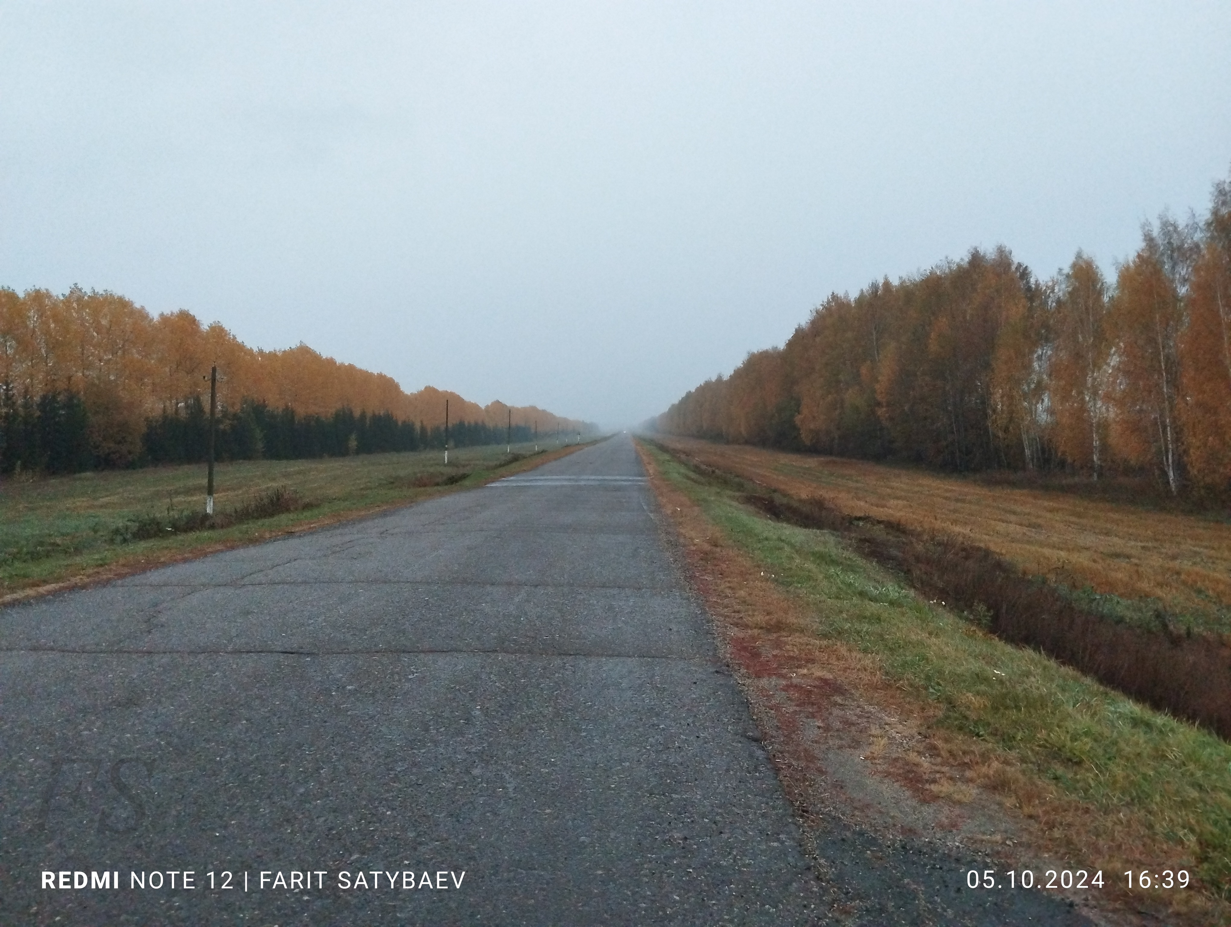 Осенняя дорога